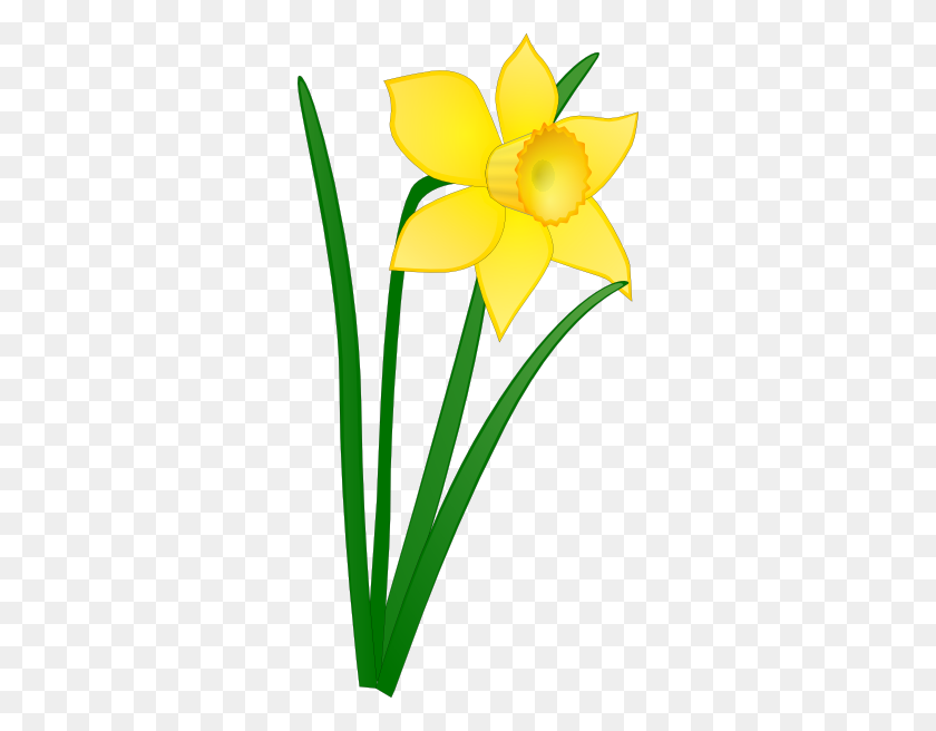 306x596 Daffodil Flower Clipart - Winter Flowers Clipart
