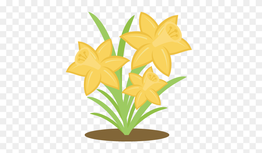 432x432 Daffodils Cutting Spring Daffodils - Daffodil PNG