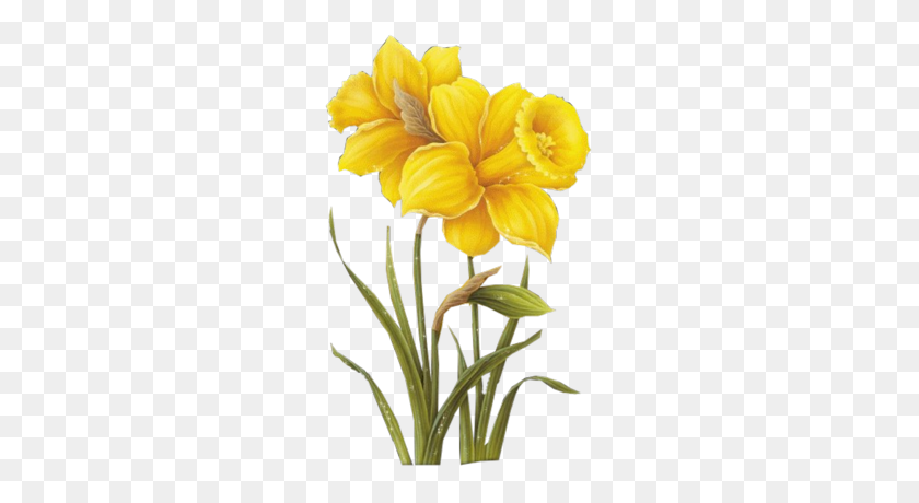 400x400 Daffodils Flower Images Free Transparent Png Clipart - Daffodil Clip Art