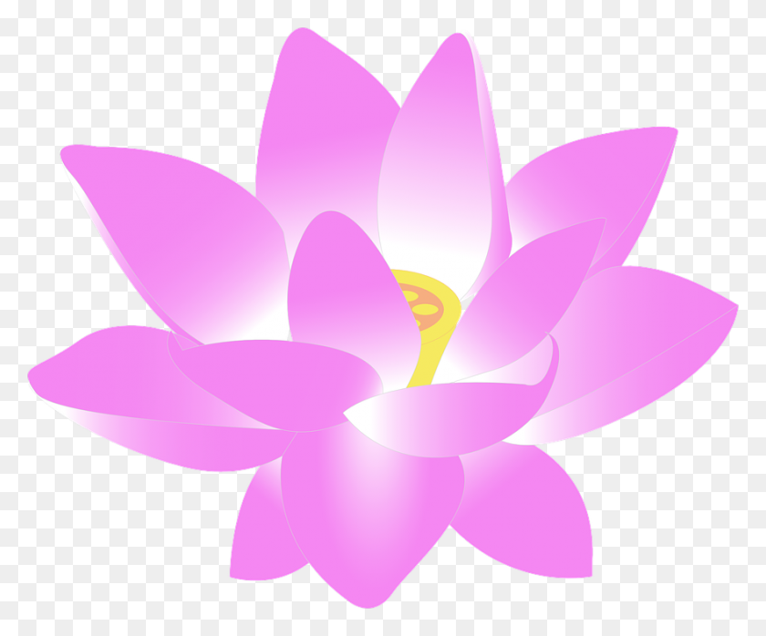 879x720 Dahlia Clipart Waterlily - Flores De Color De Agua Png