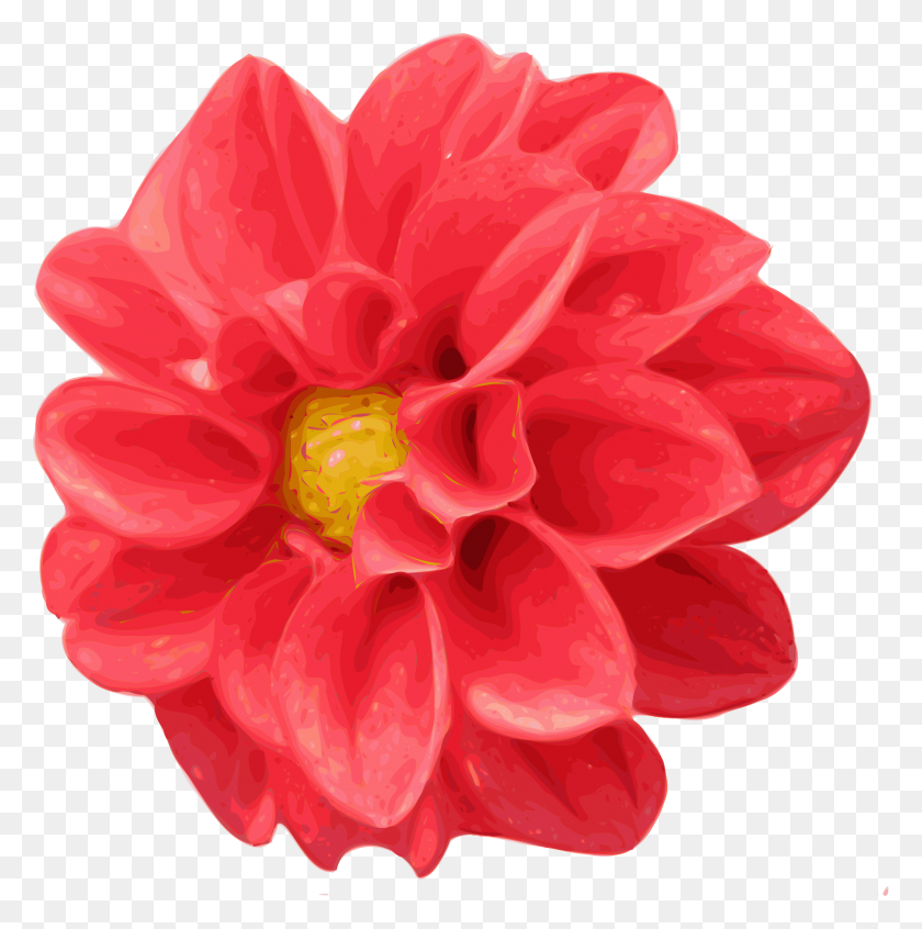 1669x1682 Dahlia Flower Clip Art - Realistic Flower Clipart