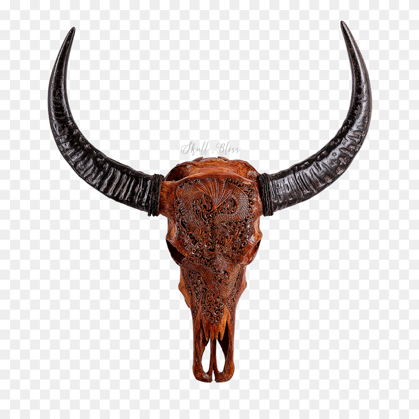 1000x1000 Daily - Bull Skull PNG