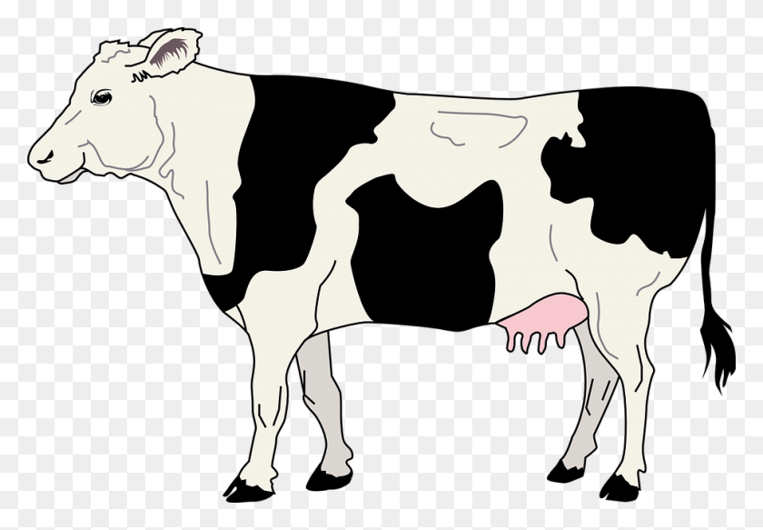 960x644 Молочная Клипарт Корова Молоко - Молочная Корова Клипарт