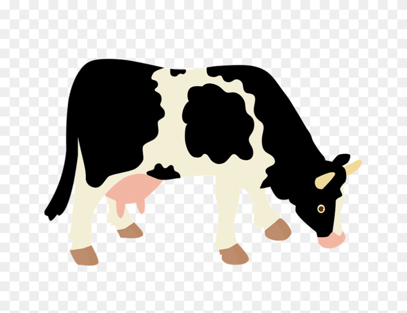 784x589 Dairy Cow Transparent Background Farm Image - Cow PNG