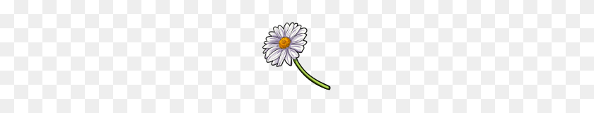 100x100 Daisies - White Daisy PNG