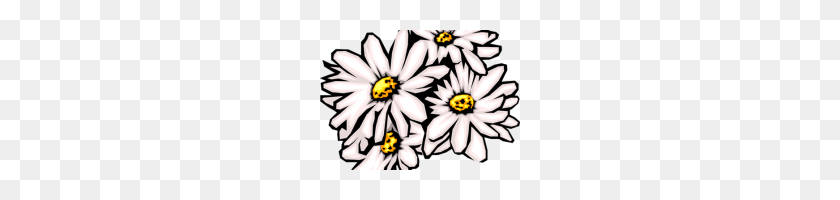 200x140 Daisies Clip Art Transparent White Daisies Png Clipart Margartky - White Daisy Clipart