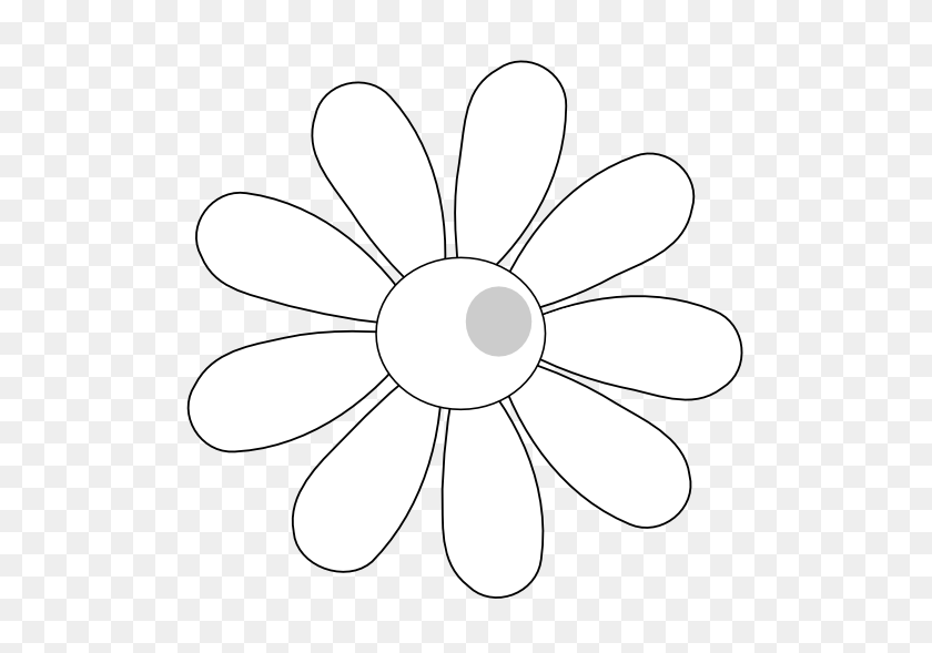 555x529 Daisy Flower Black White - White Daisy PNG