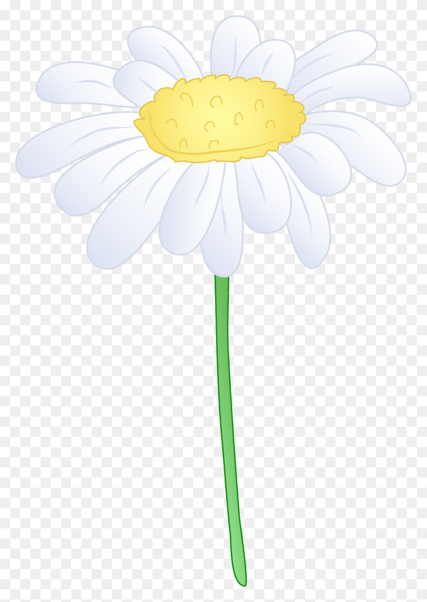 4682x6755 Daisy Flower Clip Art - Daisy Clipart Black And White