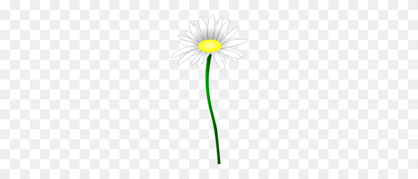 153x300 Daisy Flower Clip Art - Daisy Flower Clipart