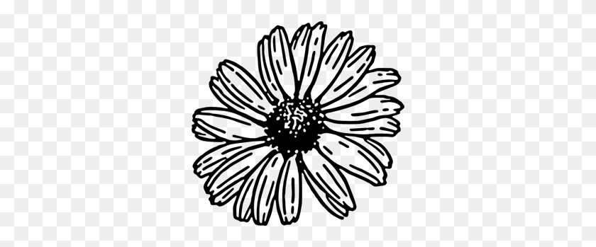 300x289 Daisy Png, Clip Art For Web - White Daisy PNG
