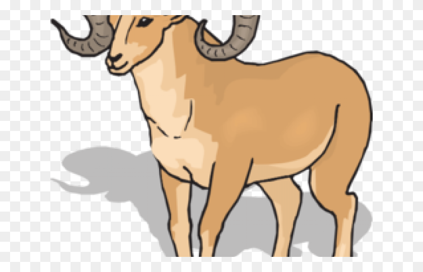 640x480 Dall Sheep Clipart - Ram Horns Clipart