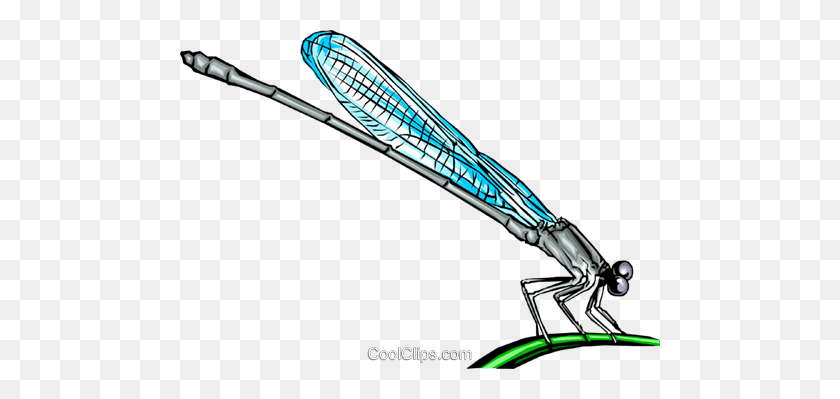 480x339 Damselfly Royalty Free Vector Clip Art Illustration - Dragonfly Clipart