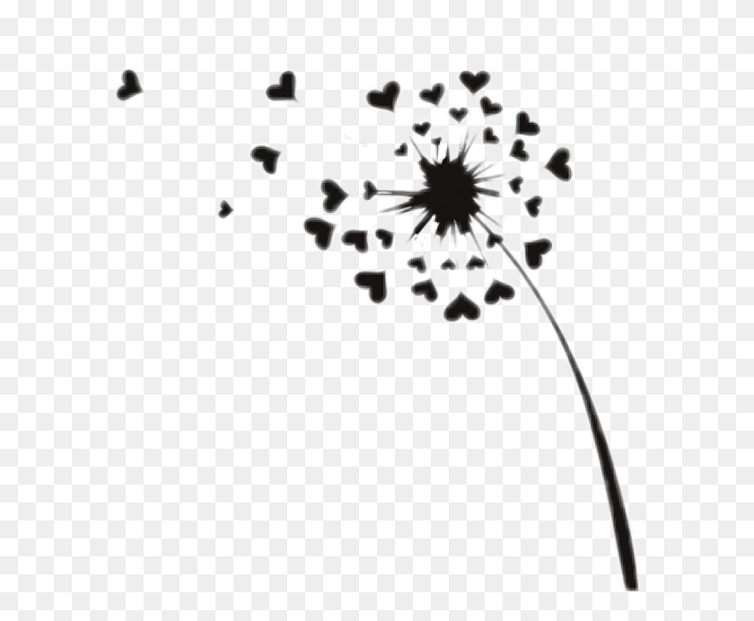 Dandelion Sticker Challenge Dandelion Clipart Black And White Stunning Free Transparent Png Clipart Images Free Download