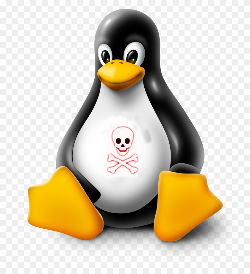 1979x2186 Опасные Вещи, Которые Нельзя Делать В Linux - Linux Png