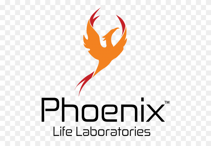 1500x1000 Danny Starr Arte Logotipo De Phoenix - Logotipo De Phoenix Png