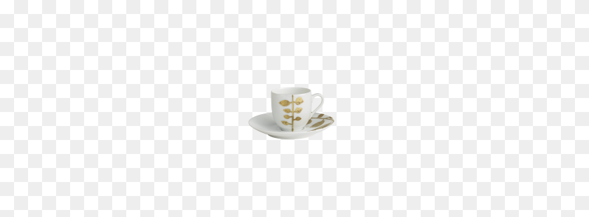 250x250 Daphne Coffee Cup Saucer - Double Cup PNG