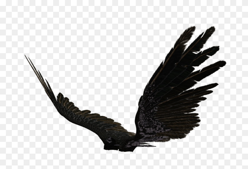 1024x673 Dark Angel Wings Png - Wings PNG