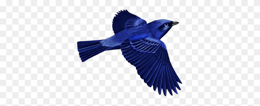 344x285 Clip Pájaro Azul Oscuro - Montaña Clipart Transparente