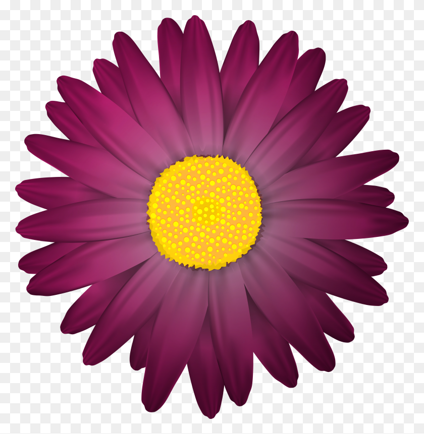 4868x5000 Dark Flower Transparent Png Clip Art - Purple Flower PNG