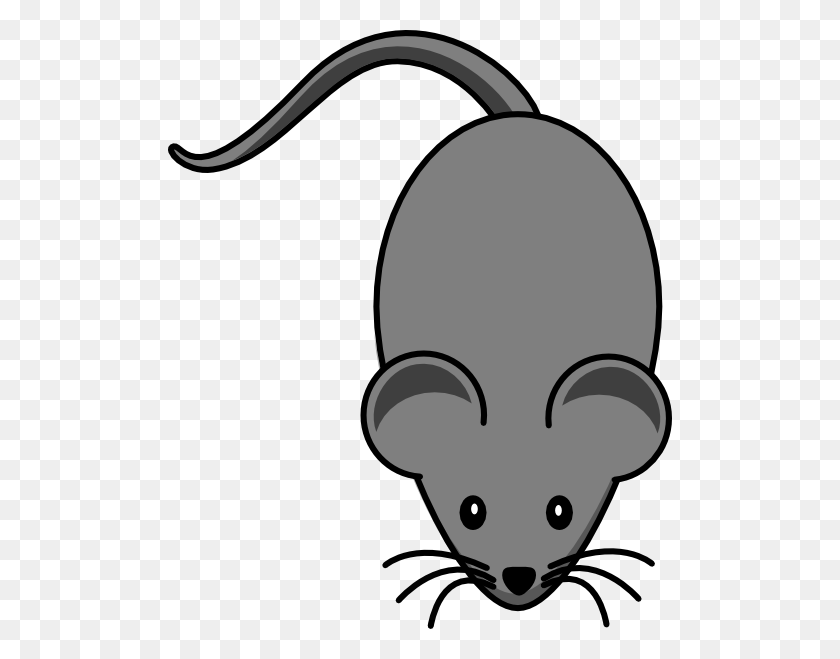 504x599 Dark Grey Lab Mouse Clip Art - Grey Clipart