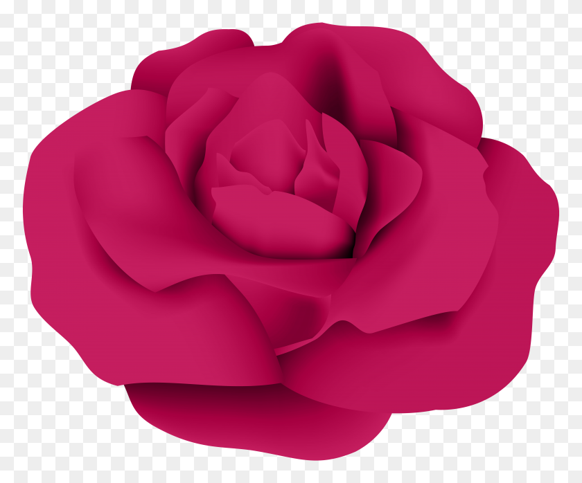 8000x6547 Dark Pink Rose Png Transparent Clip - Pink Rose PNG