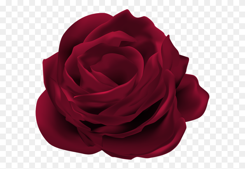 600x522 Png Темно-Красная Роза Цветок Png Изображения Клипарт