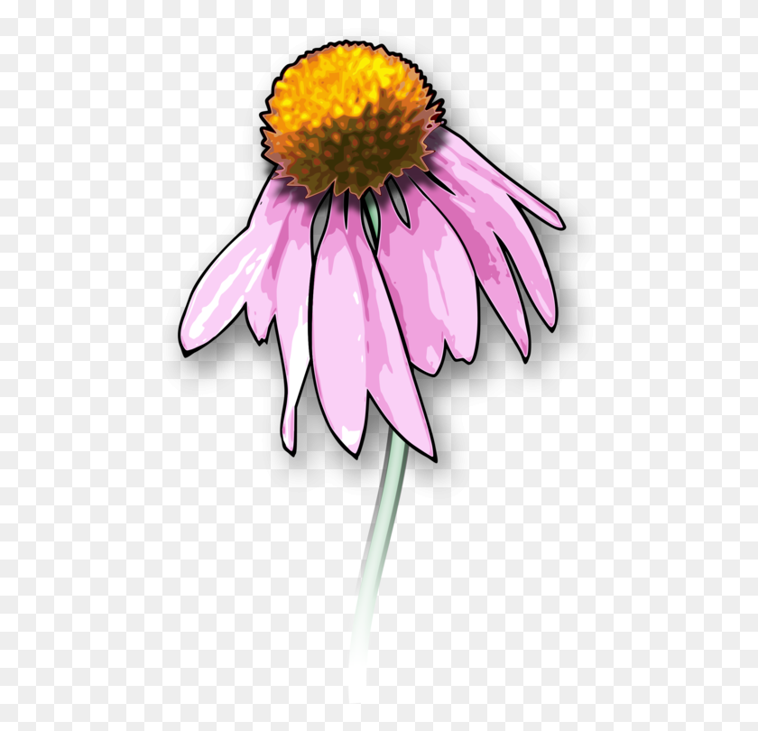 491x750 Dead Drawing Flower Огромный Подарок! Скачать Для Powerpoint - День Мертвых Цветов Клипарт