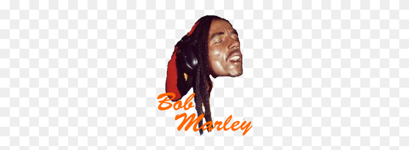 Dead Pop Rock Stars M O - Bob Marley PNG