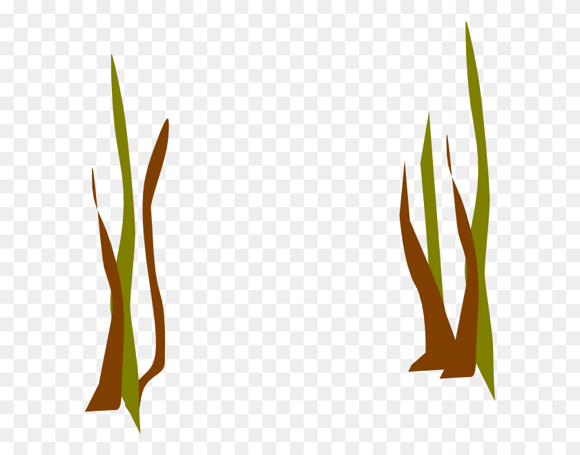 594x599 Dead Reeds Clip Art - Seaweed Clipart