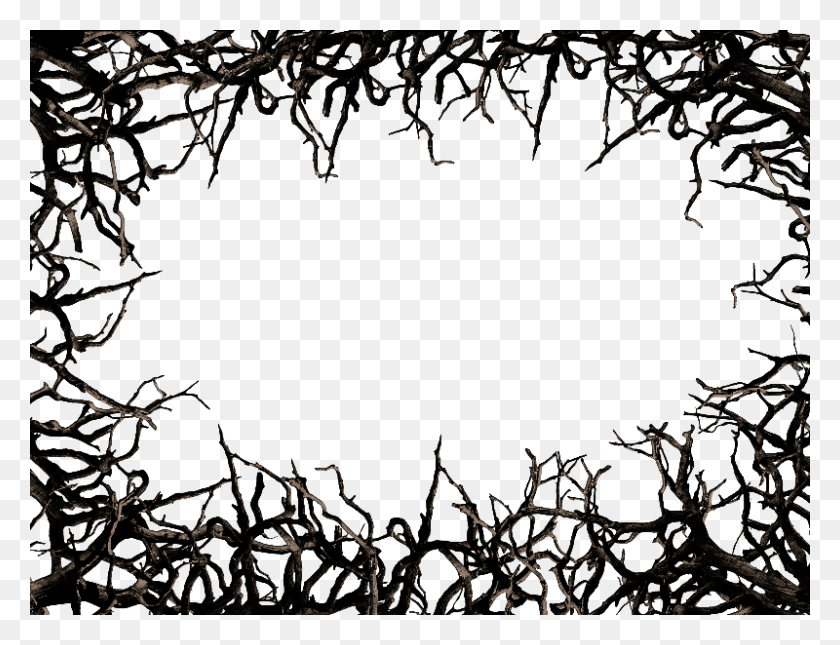 800x600 Dead Tree Branch Frame Border Png Clipart Free - Sky Background PNG