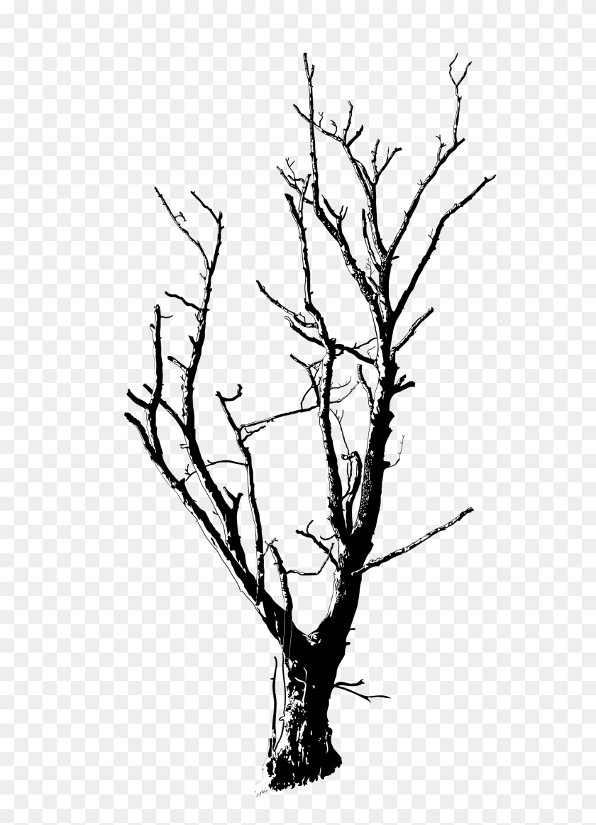 1697x2400 Dead Tree Detailed Icons Png - Ramas PNG