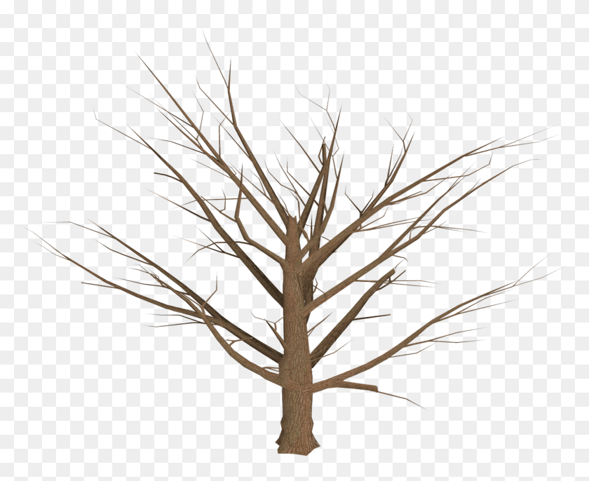 1280x1028 Мертвое Дерево Пустые Ветви Прозрачный Png - Линия Дерева Png