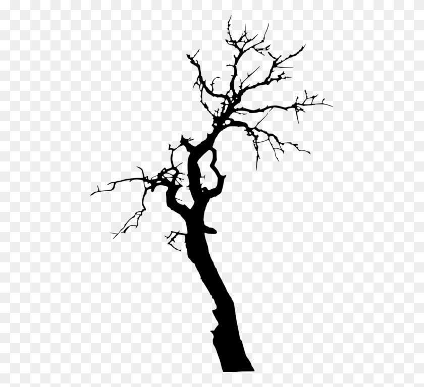 481x707 Dead Tree Silhouette Png - Tree PNG Transparent