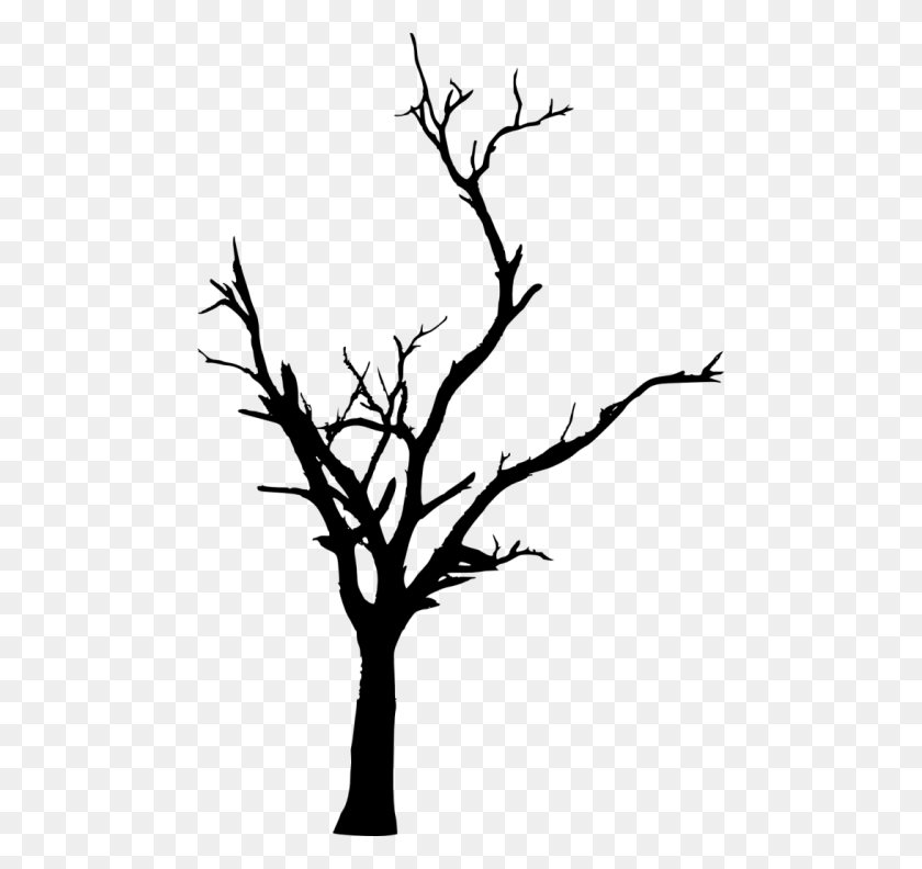 480x732 Dead Tree Silhouette Png - Tree Silhouette PNG