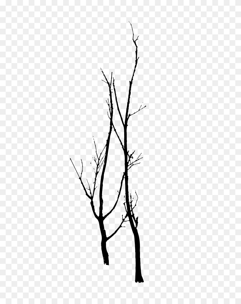 757x1000 Dead Trees Vector - Tree Silhouette PNG
