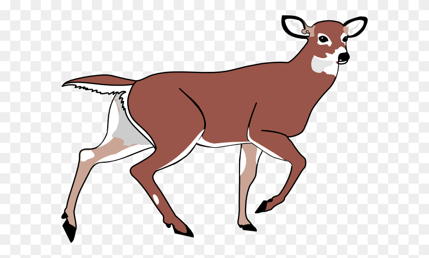 600x446 Querido Clipart Cartoon - Dead Deer Clipart