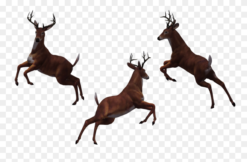 1024x645 Dear Clipart Dead Deer - Imágenes Prediseñadas De Venado Saltando