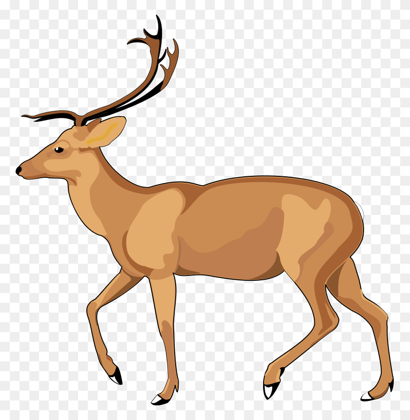 775x800 Dear Clipart Hd Animal - Woodland Deer Clipart