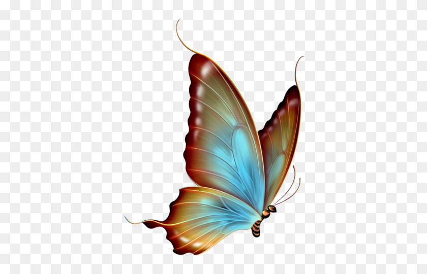 375x480 Decopage Butterfly, Butterfly - Silk Clipart