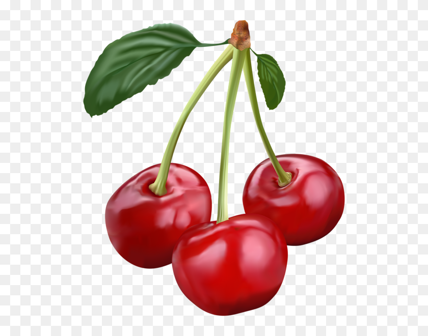 530x600 Decorative Elements Png And Art - Cherries PNG