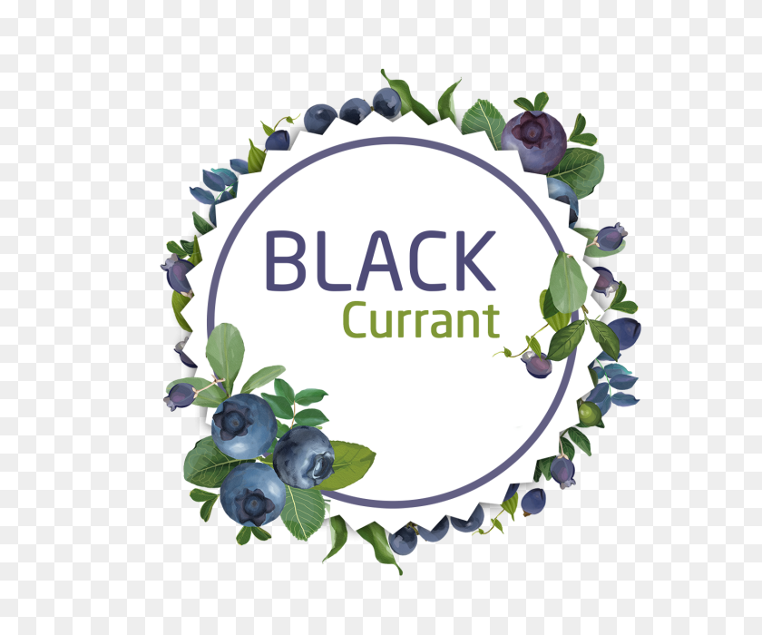640x640 Decorative Watercolor Black Currant Wreath Stickers, Decorative - Watercolor Wreath PNG