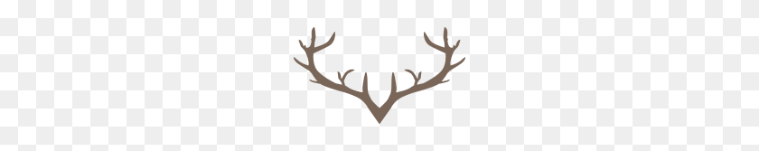 190x107 Deer Antler - Deer Antlers PNG