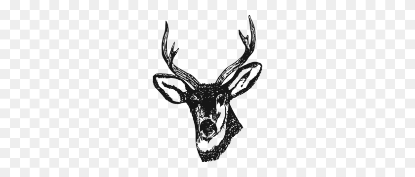 222x299 Deer Black Clip Art - Deer Clipart Black And White