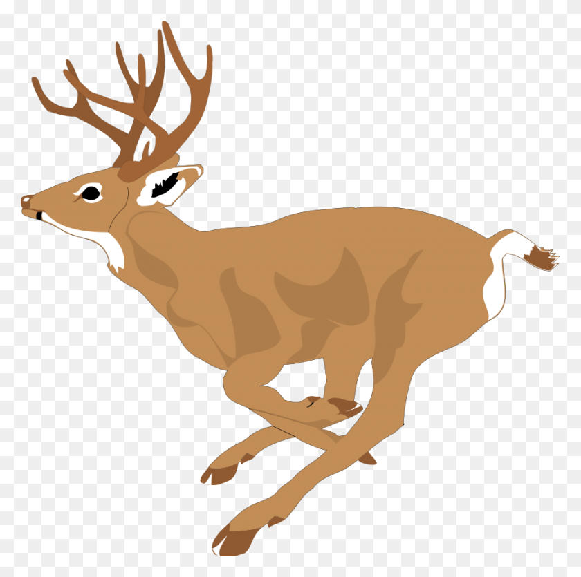 900x895 Deer Bucks Cliparts - Doe Head Clipart