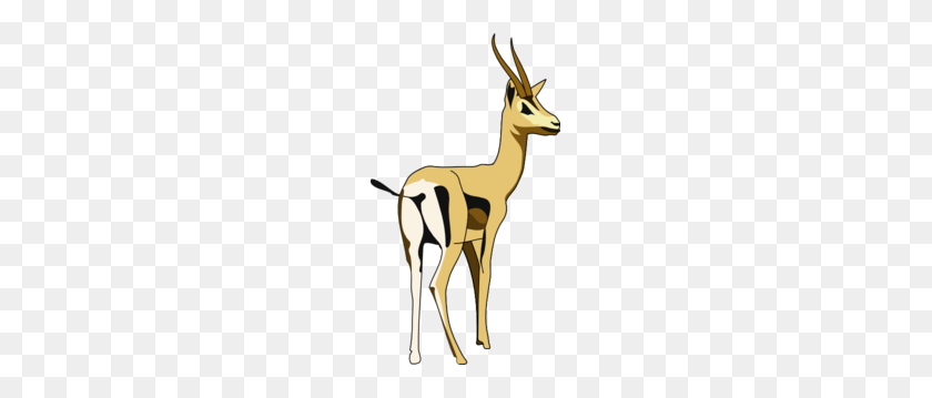 171x299 Deer Clip Art - Gazelle Clipart