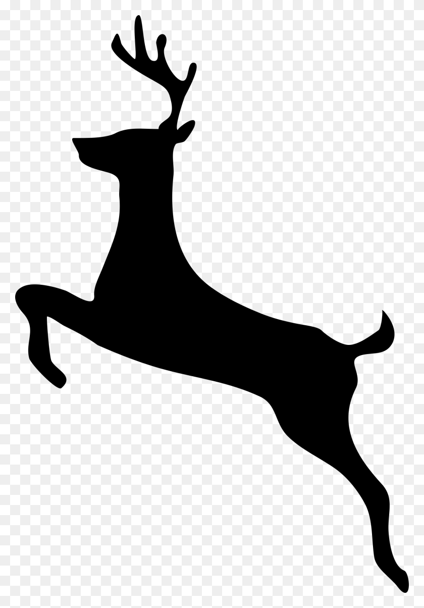 1636x2400 Deer Clipart - Coon Hunting Clipart
