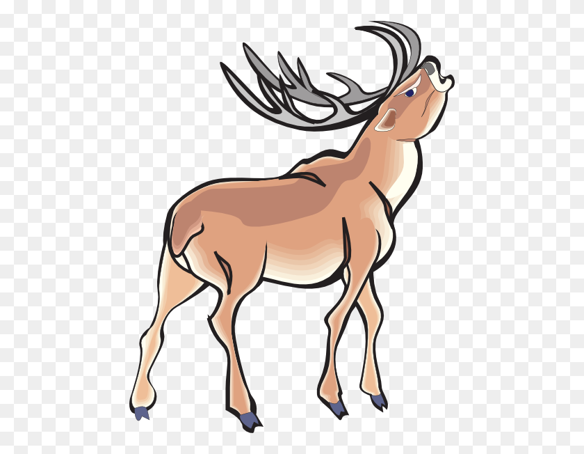 468x592 Ciervo Clipart Enojado - Whitetail Deer Clipart