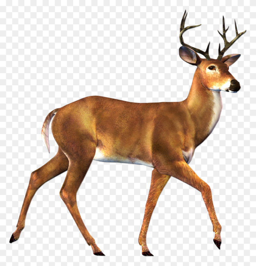 1227x1280 Deer Clipart Transparent Background - Mule Clipart