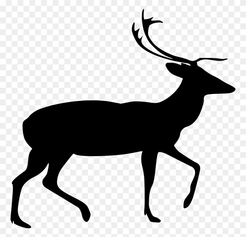 768x750 Deer Drawing Line Art Computer Icons Download - Stag Clipart
