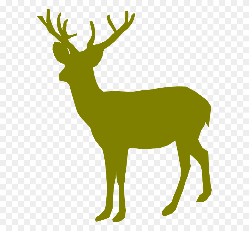 588x720 Deer Graphics Desktop Backgrounds - Buck Head Clipart